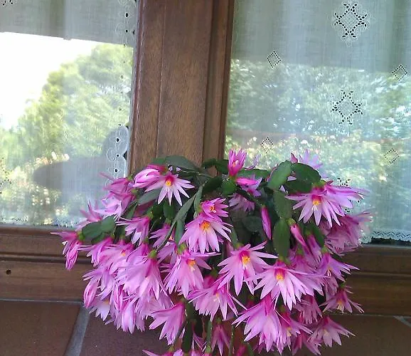 Ablanos De Aymar Loroñe