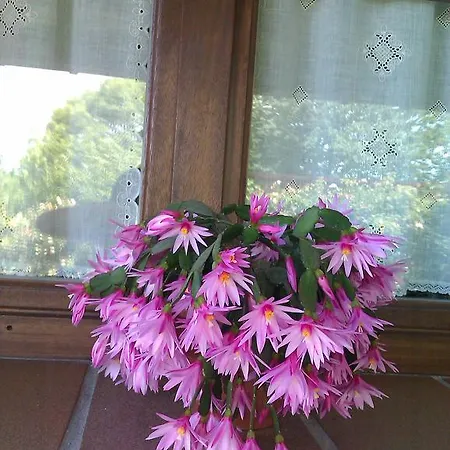 Ablanos De Aymar Loroñe